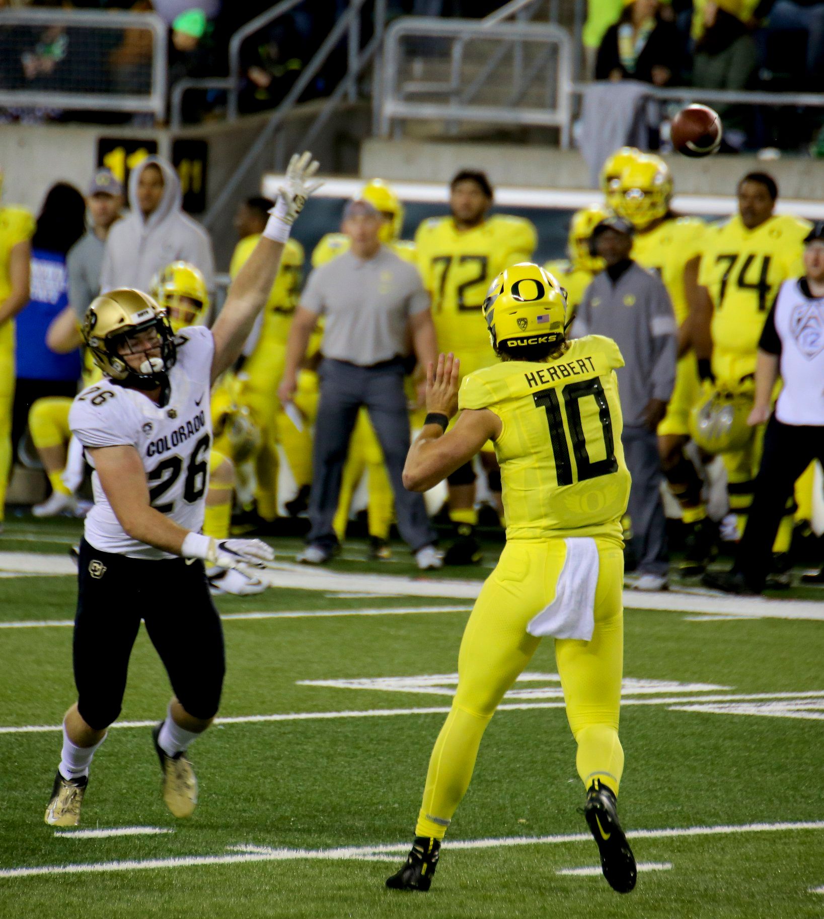 Oregon Ducks